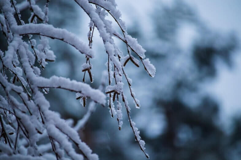 Am Donnerstag unbeständig mit Schnee