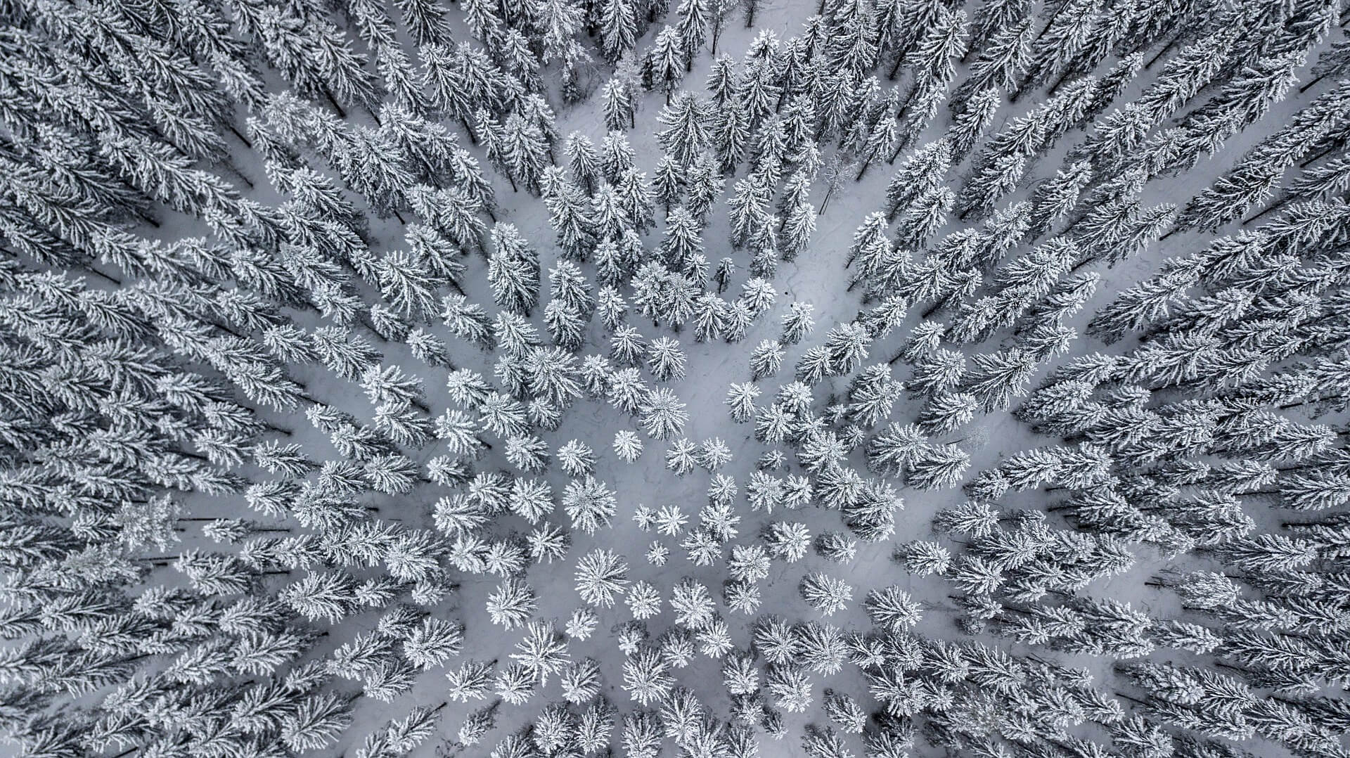 Der Heilige Abend gebietsweise winterlich