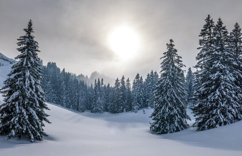Am Sonntag vorübergehende Wetterberuhigung