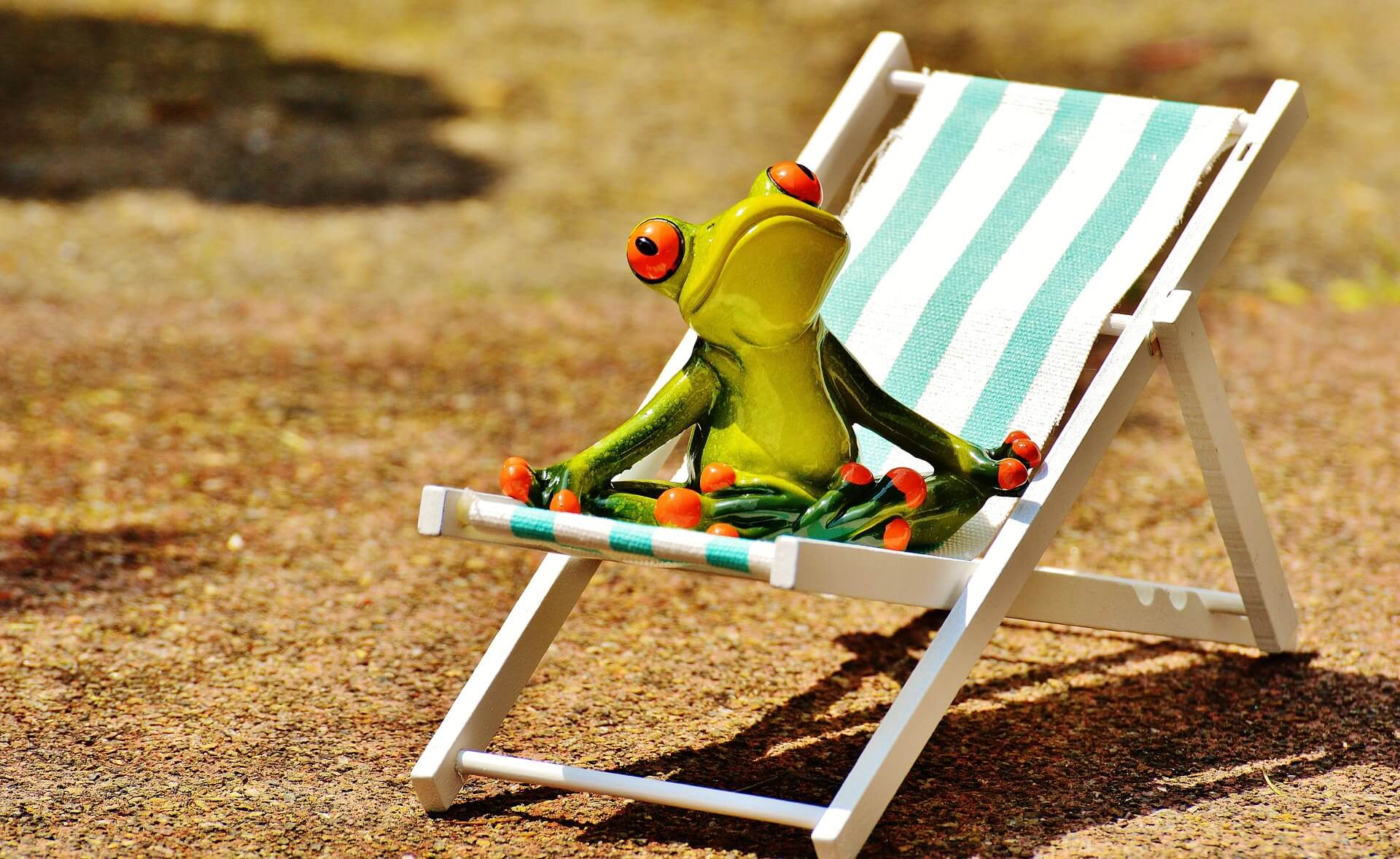 Wetterfrosch am Liegestuhl im Sommer © pixabay.com