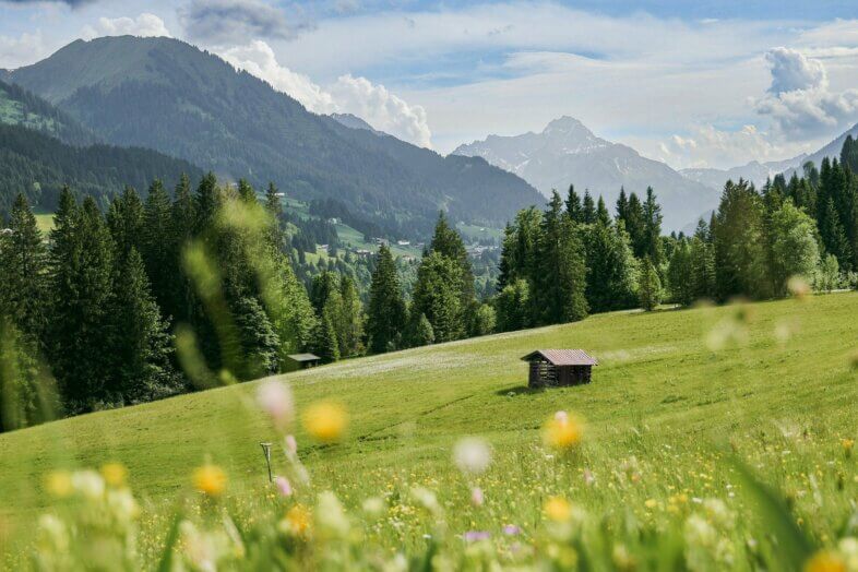 Am Freitag mehr Sonne