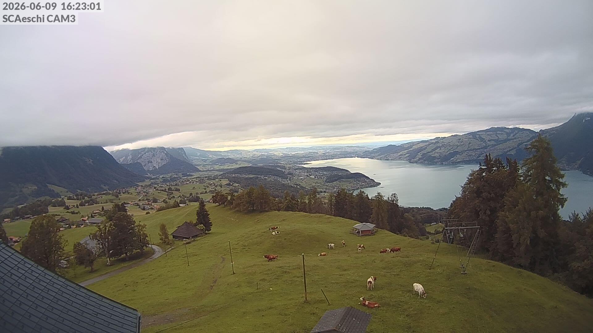 Wolkenverhangener Blick nach Nordwesten über den Thuner See @bergfex.ch