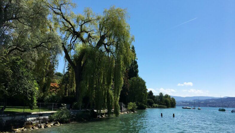 Am Samstag sonnig und sommerlich warm