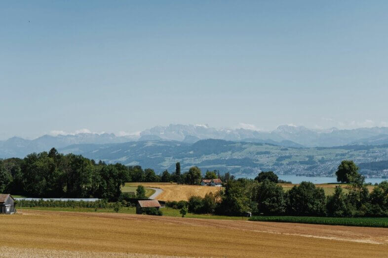 Am Montag im Norden kühler
