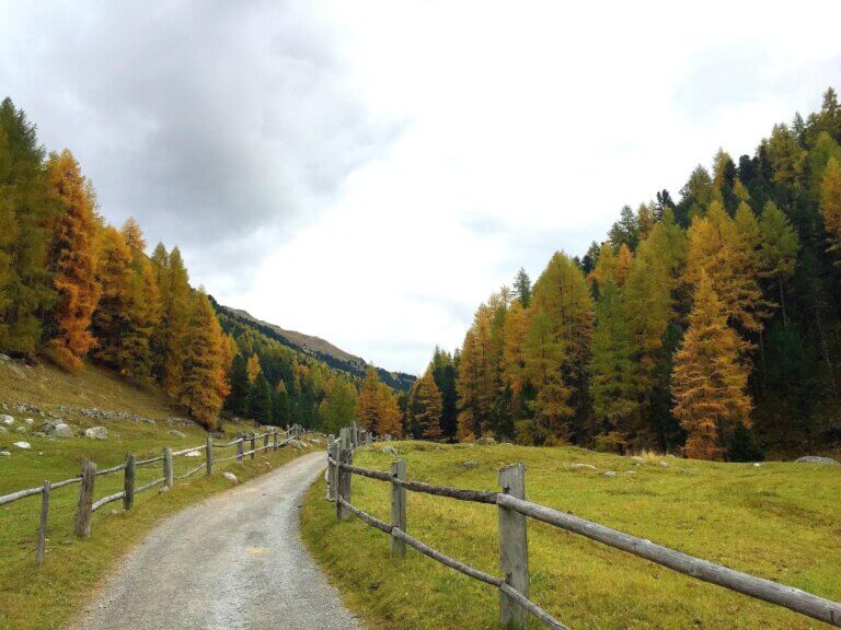 Am Sonntag viele Wolken und Bise